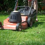 Gartenarbeiten im Herbst
