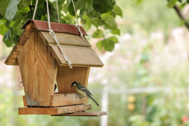 Vogelhäuschen im privaten Garten